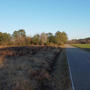 Photo #8 of 5441 Carolina Rd., Green Sea, SC 8.3 acres