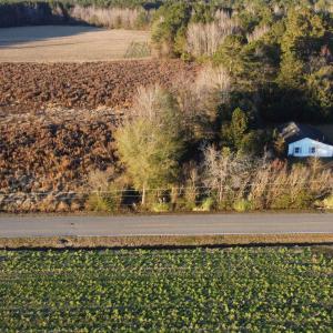 Photo #4 of 5441 Carolina Rd., Green Sea, SC 8.3 acres