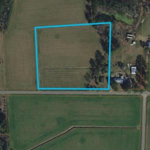 Photo #11 of 5441 Carolina Rd., Green Sea, SC 8.3 acres