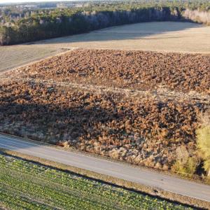 Photo #6 of 5441 Carolina Rd., Green Sea, SC 8.3 acres