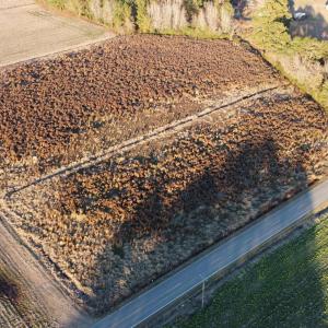 Photo #5 of 5441 Carolina Rd., Green Sea, SC 8.3 acres