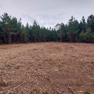 Photo #2 of Lot 7&8 Harper Rd., Marion, SC 2.7 acres