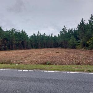 Photo #3 of Lot 7&8 Harper Rd., Marion, SC 2.7 acres