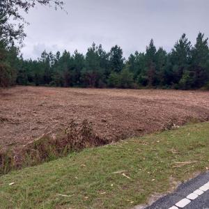 Photo #1 of Lot 7&8 Harper Rd., Marion, SC 2.7 acres