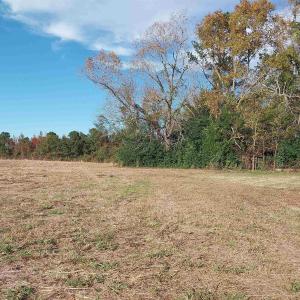 Photo #8 of lot 1 Davis Lane, Mullins, SC 1.3 acres
