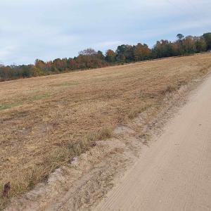 Photo #4 of lot 1 Davis Lane, Mullins, SC 1.3 acres