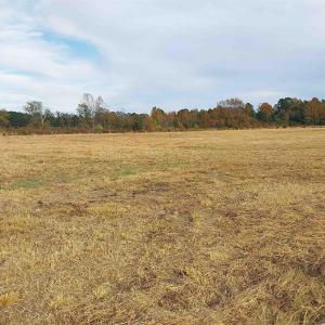Photo #3 of lot 1 Davis Lane, Mullins, SC 1.3 acres