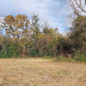 Photo #5 of lot 1 Davis Lane, Mullins, SC 1.3 acres