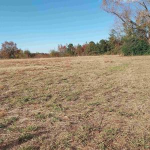 Photo #7 of lot 1 Davis Lane, Mullins, SC 1.3 acres