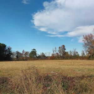 Photo #2 of lot 1 Davis Lane, Mullins, SC 1.3 acres