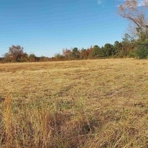Photo #6 of lot 1 Davis Lane, Mullins, SC 1.3 acres