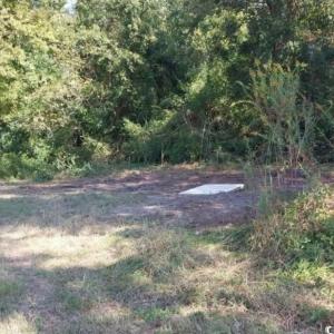 Photo #1 of lot 1 Davis Lane, Mullins, SC 1.3 acres