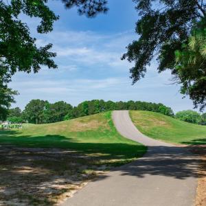 Photo #18 of 131 Waterhall Dr., Murrells Inlet, SC 0.4 acres