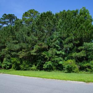 Photo #13 of 131 Waterhall Dr., Murrells Inlet, SC 0.4 acres