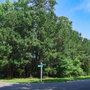 Photo #1 of 131 Waterhall Dr., Murrells Inlet, SC 0.4 acres