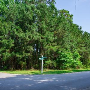 Photo #2 of 131 Waterhall Dr., Murrells Inlet, SC 0.4 acres