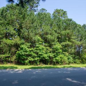 Photo #11 of 131 Waterhall Dr., Murrells Inlet, SC 0.4 acres