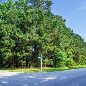 Photo #3 of 131 Waterhall Dr., Murrells Inlet, SC 0.4 acres