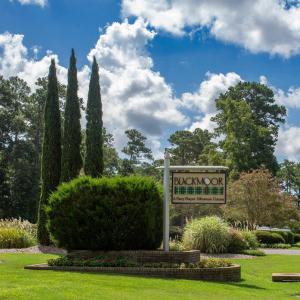 Photo #28 of 131 Waterhall Dr., Murrells Inlet, SC 0.4 acres