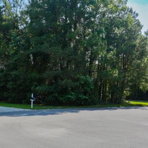 Photo #7 of 131 Waterhall Dr., Murrells Inlet, SC 0.4 acres