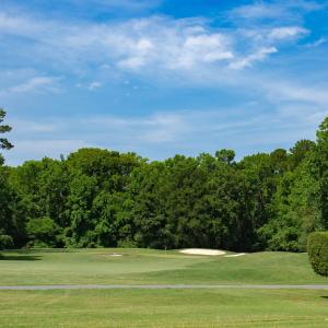 Photo #24 of 131 Waterhall Dr., Murrells Inlet, SC 0.4 acres