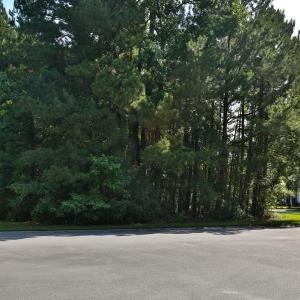 Photo #5 of 131 Waterhall Dr., Murrells Inlet, SC 0.4 acres