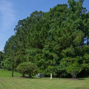 Photo #16 of 131 Waterhall Dr., Murrells Inlet, SC 0.4 acres