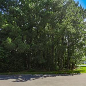 Photo #4 of 131 Waterhall Dr., Murrells Inlet, SC 0.4 acres