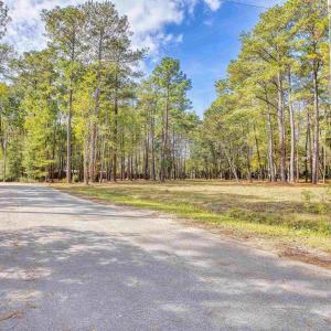 View of asphalt road featuring a forest view