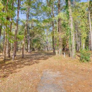 View of street with a forest view