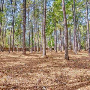 View of yard with a view of trees