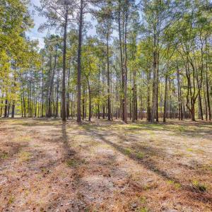 View of yard with a view of trees