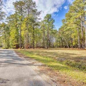 View of asphalt street with a forest view
