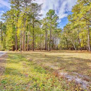 View of green lawn with a view of trees