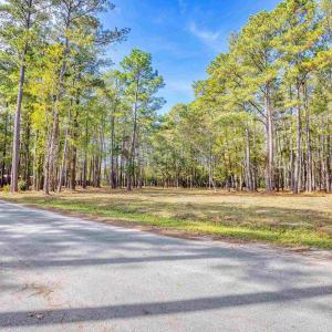 View of asphalt street with a wooded view