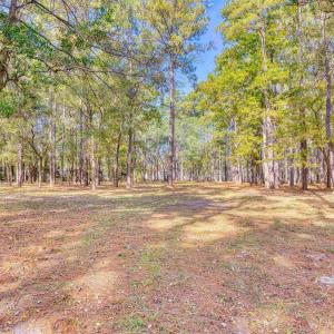 View of yard featuring a view of trees