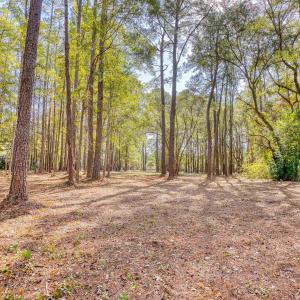 View of yard featuring a wooded view