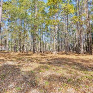 View of yard featuring a forest view