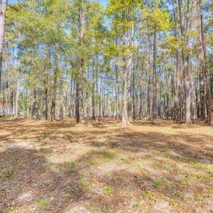 View of yard featuring a wooded view