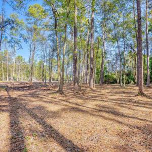 View of yard featuring a wooded view