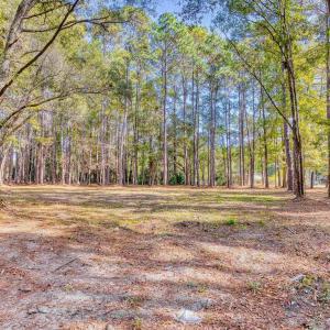 View of yard with a view of trees