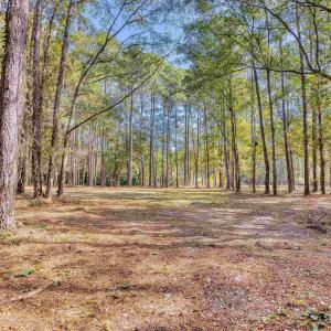 View of tree filled area