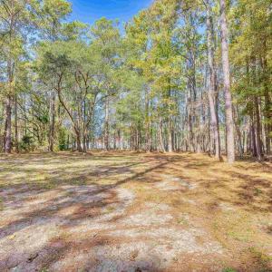 View of yard featuring a forest view