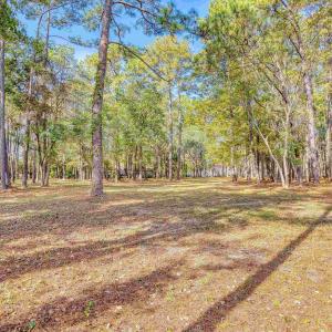 View of yard featuring a view of trees