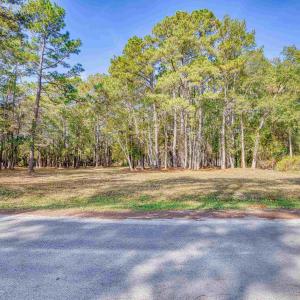 Photo #3 of 4250 Lilac Rd., Myrtle Beach, SC 3.3 acres