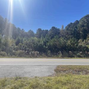 View of asphalt street with a view of trees