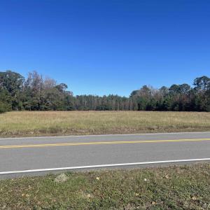 View of asphalt street with a forest view