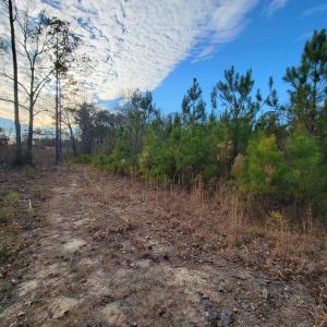 Photo #24 of TBD Highway 34, Bishopville, SC 92.7 acres