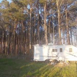 Photo #5 of 1AA Davis Lane, Mullins, SC 5.1 acres