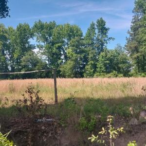 Photo #3 of 1AA Davis Lane, Mullins, SC 5.1 acres